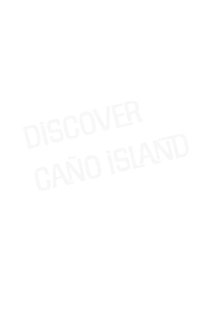 discover-canoisland