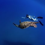 The Benefits of Freediving