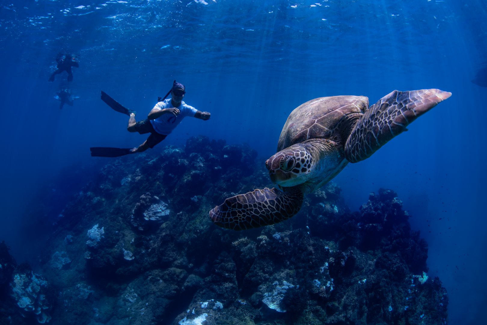 Freediving Uvita, Costa Rica