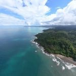 Why Isla del Caño is a Must-Visit for Diving Enthusiasts in Costa Rica