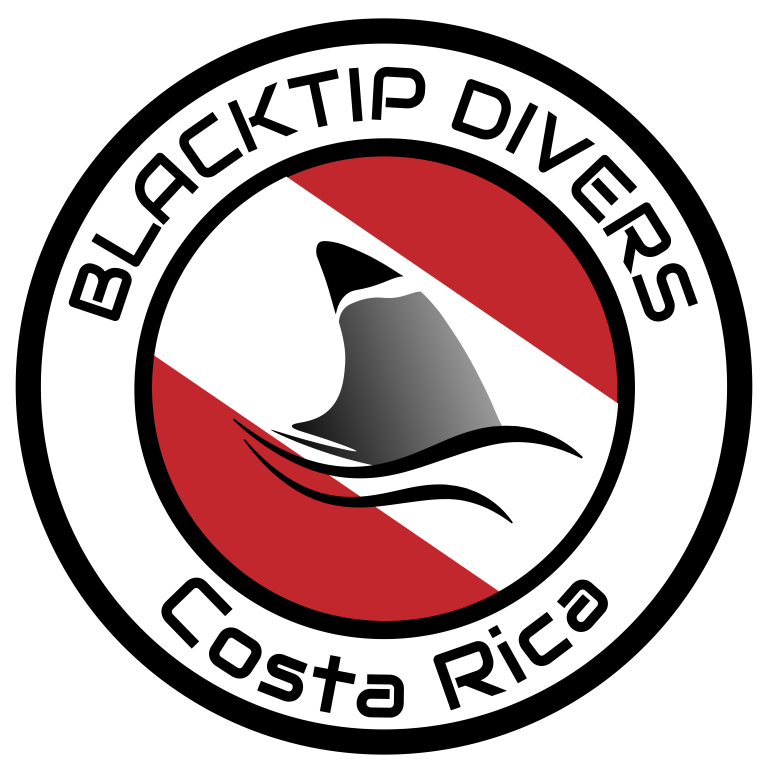 blacktip-diver